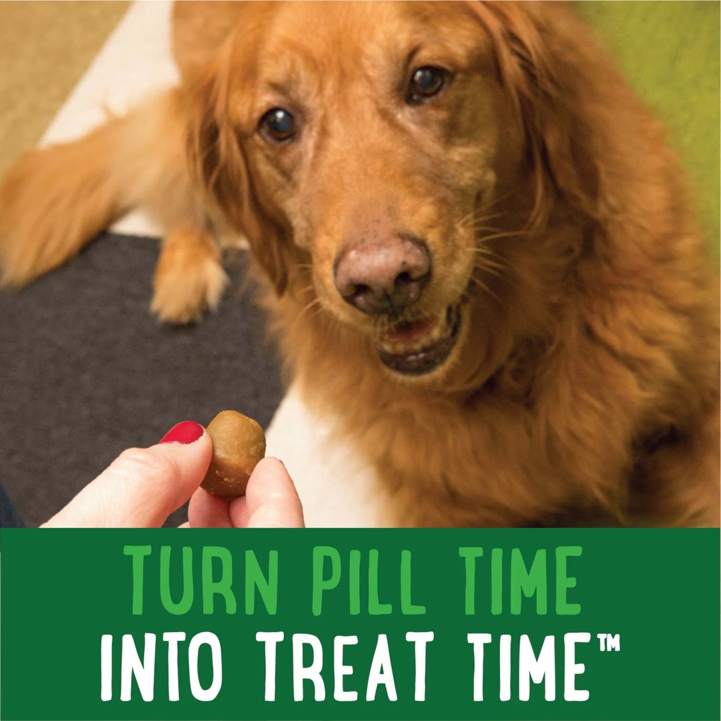 Pill Pockets Chicken Treats for Dogs, 7.9 Oz Pouch